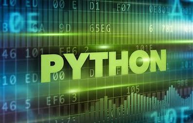 如何强制 Python 的函数将缓冲输出刷新到屏幕？print